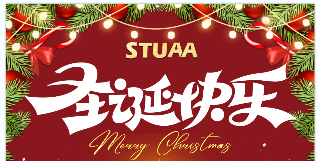 2024斯图祝您圣诞快乐！